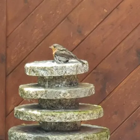 Moin, Moin & Ahoi!