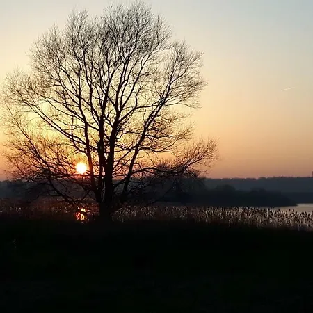 Moin, Moin & Ahoi! *