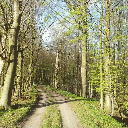 Moin, Moin & Ahoi! *