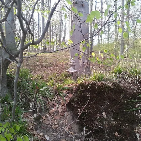 Moin, Moin & Ahoi! Apartamento Kiel