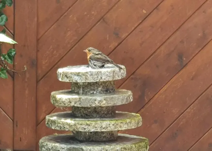 Moin, Moin&ahoi!