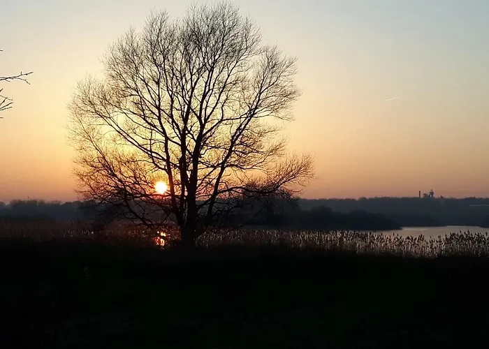 Moin, Moin&ahoi! *